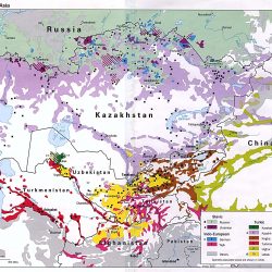 Political Map of central Asia shows Major Ethnic Groups in the area