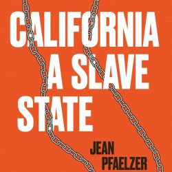 red cover with chain outlining California state line with title California A Slave State by Jean Pfaelzer.